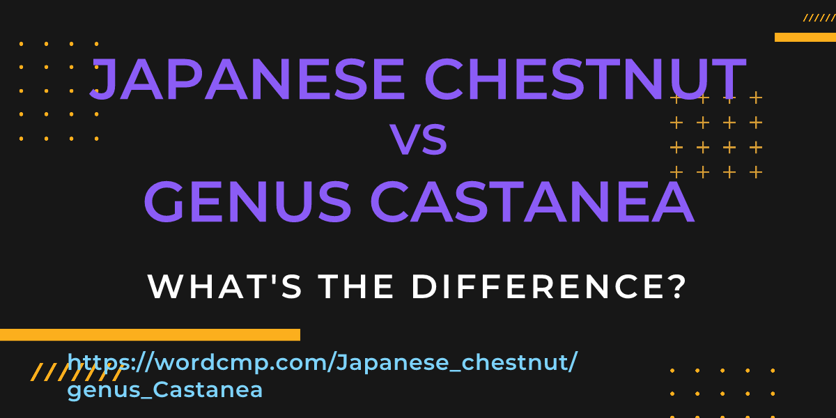 Difference between Japanese chestnut and genus Castanea