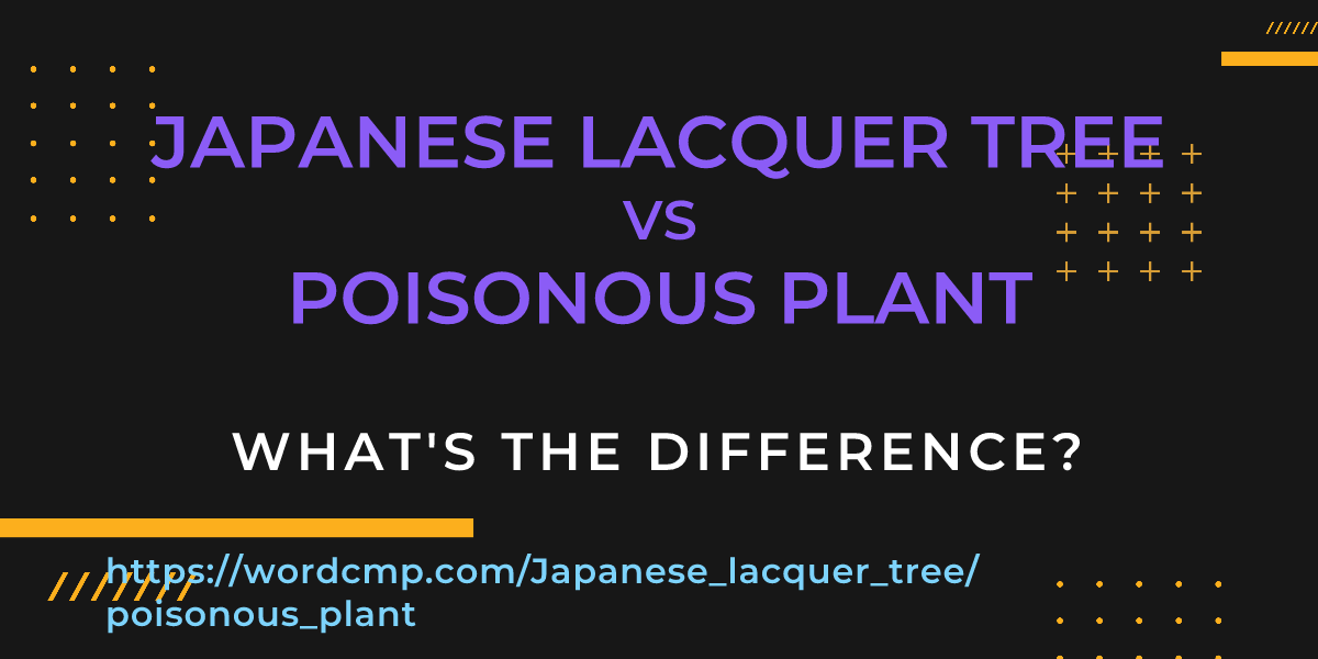 Difference between Japanese lacquer tree and poisonous plant