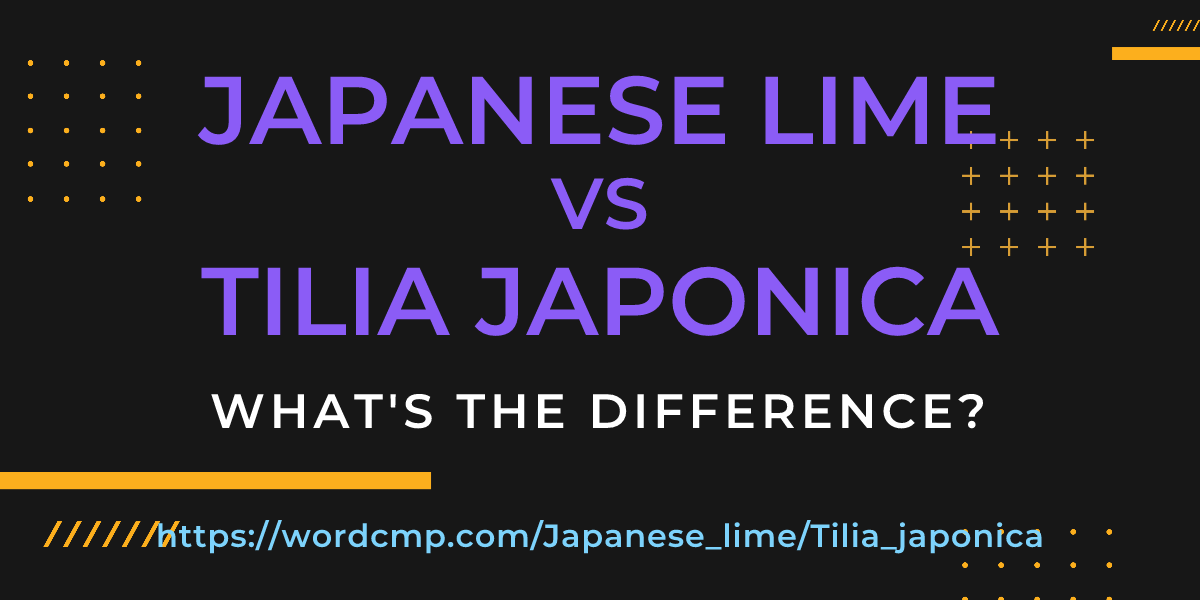 Difference between Japanese lime and Tilia japonica