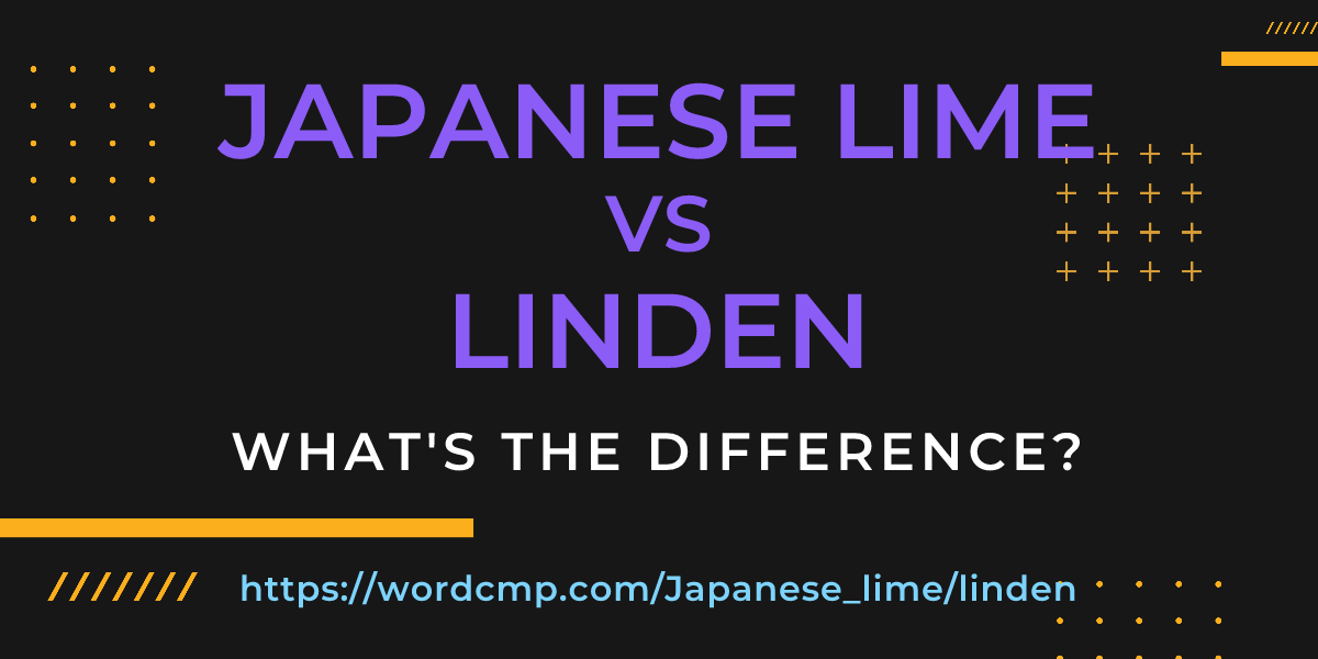 Difference between Japanese lime and linden