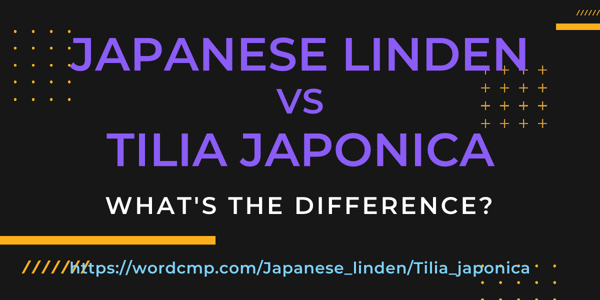 Difference between Japanese linden and Tilia japonica