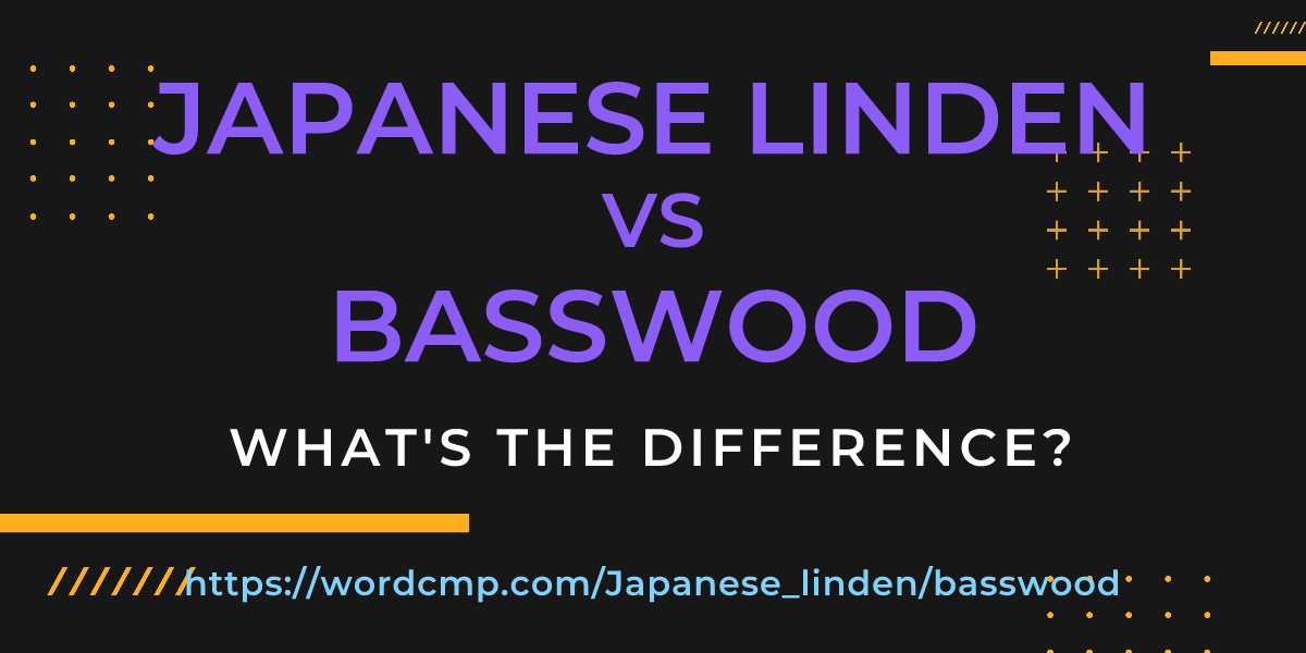 Difference between Japanese linden and basswood