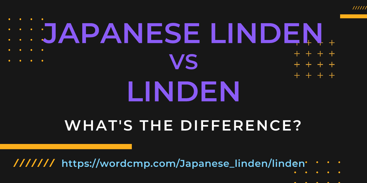 Difference between Japanese linden and linden