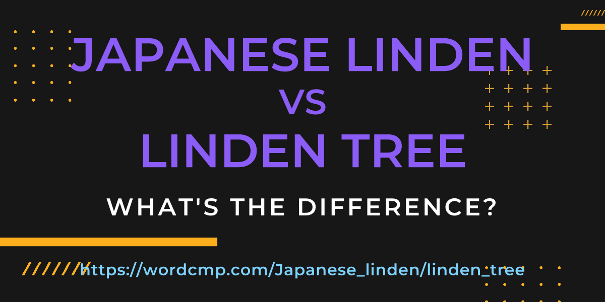 Difference between Japanese linden and linden tree