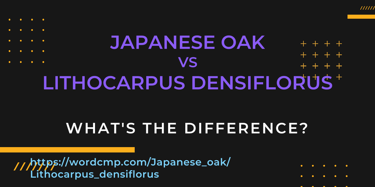 Difference between Japanese oak and Lithocarpus densiflorus