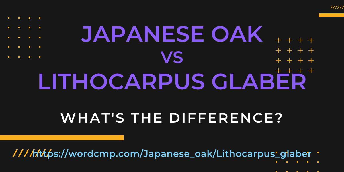 Difference between Japanese oak and Lithocarpus glaber
