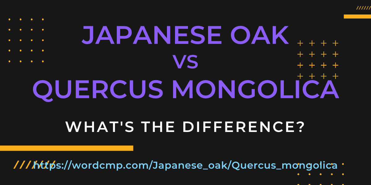 Difference between Japanese oak and Quercus mongolica