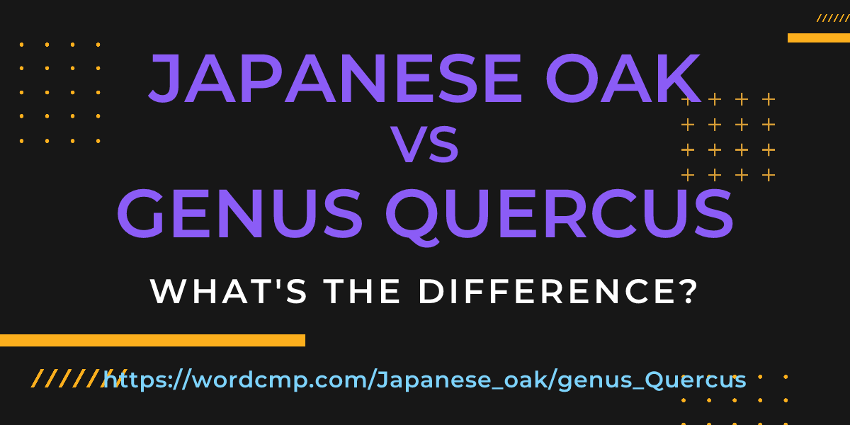 Difference between Japanese oak and genus Quercus