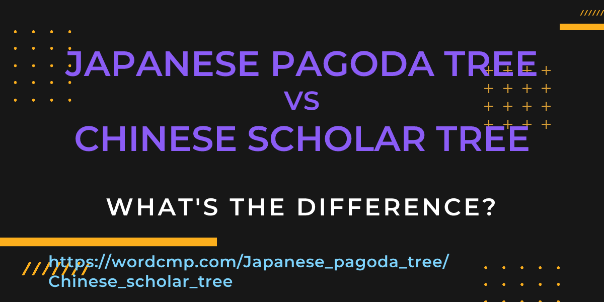 Difference between Japanese pagoda tree and Chinese scholar tree