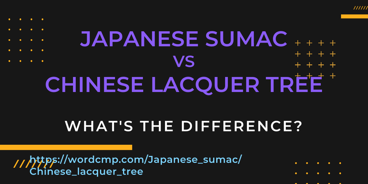 Difference between Japanese sumac and Chinese lacquer tree
