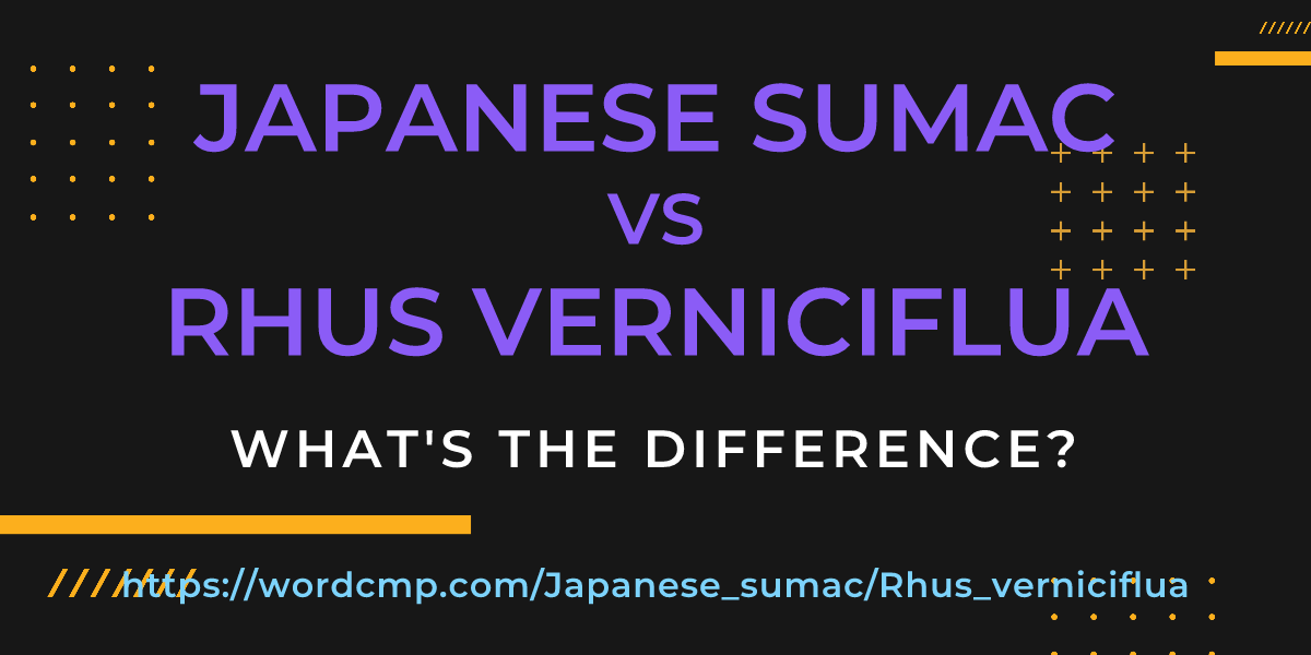 Difference between Japanese sumac and Rhus verniciflua