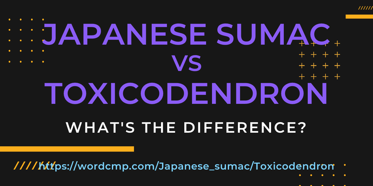 Difference between Japanese sumac and Toxicodendron