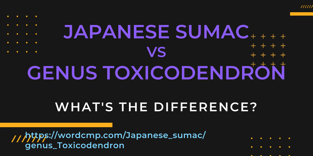 Difference between Japanese sumac and genus Toxicodendron