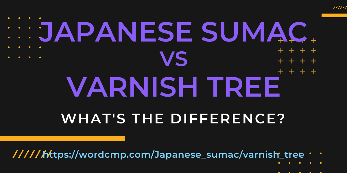 Difference between Japanese sumac and varnish tree