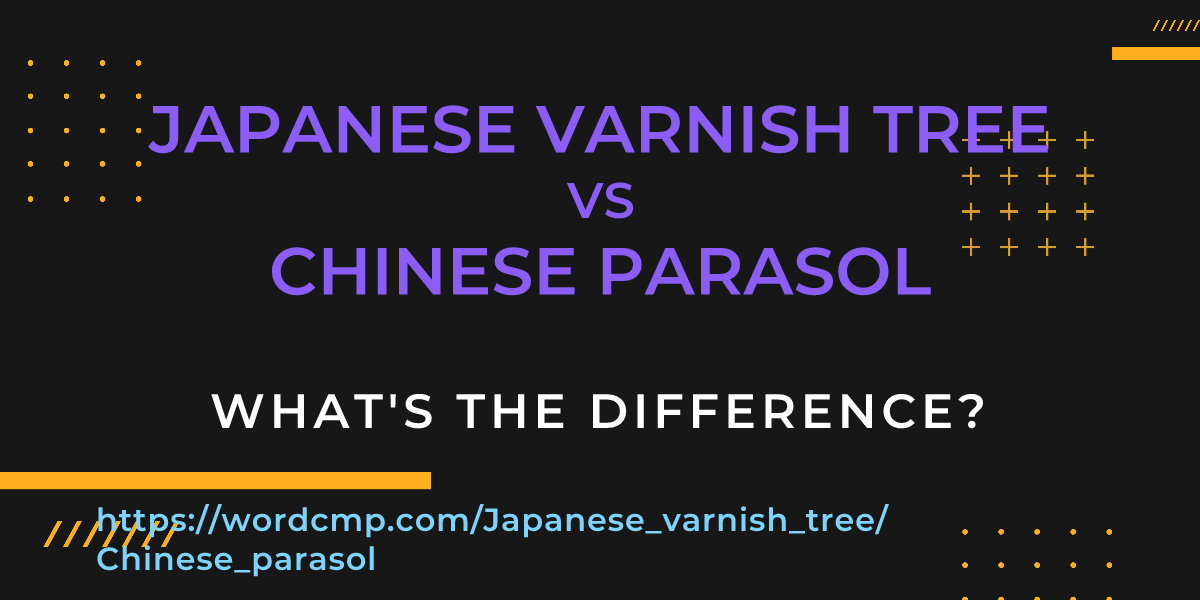 Difference between Japanese varnish tree and Chinese parasol