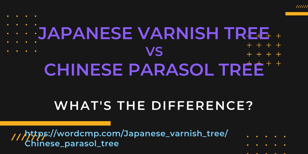 Difference between Japanese varnish tree and Chinese parasol tree