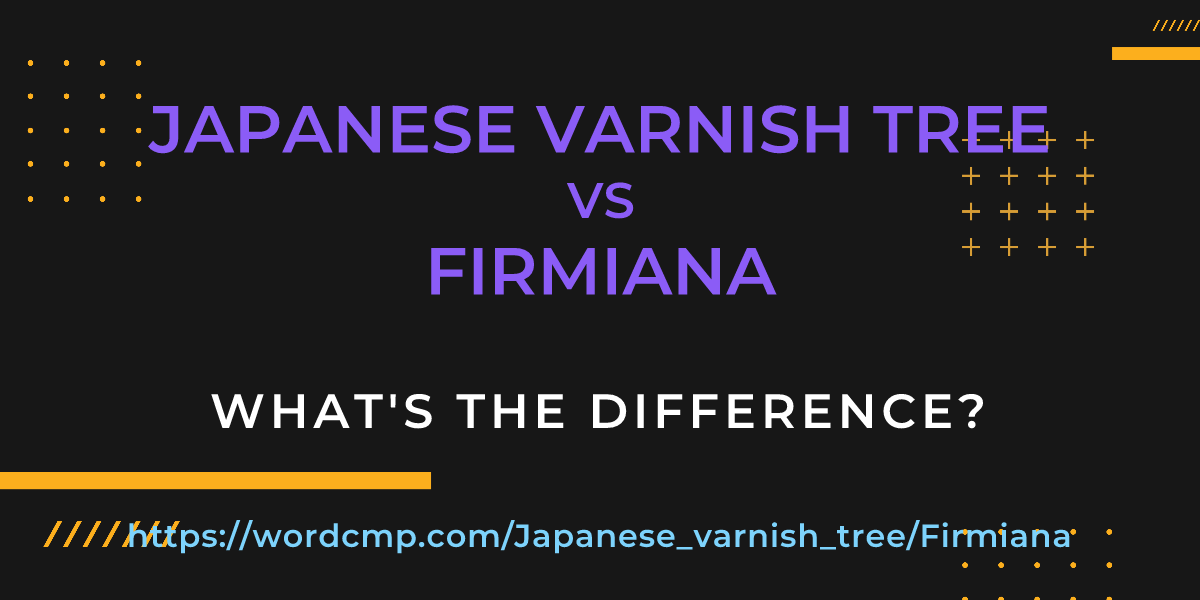 Difference between Japanese varnish tree and Firmiana