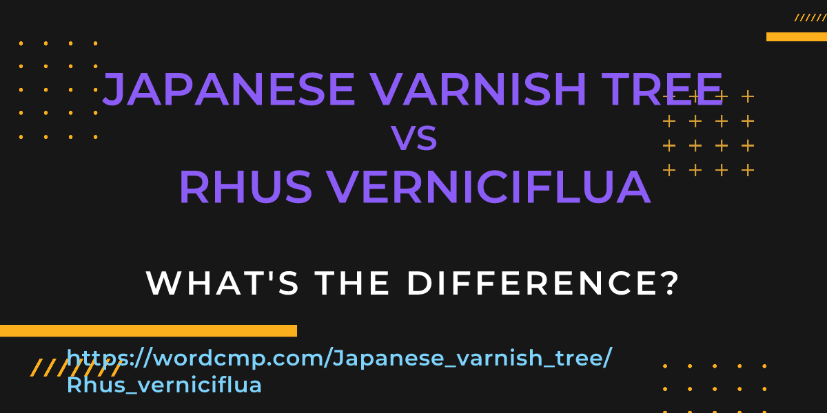 Difference between Japanese varnish tree and Rhus verniciflua