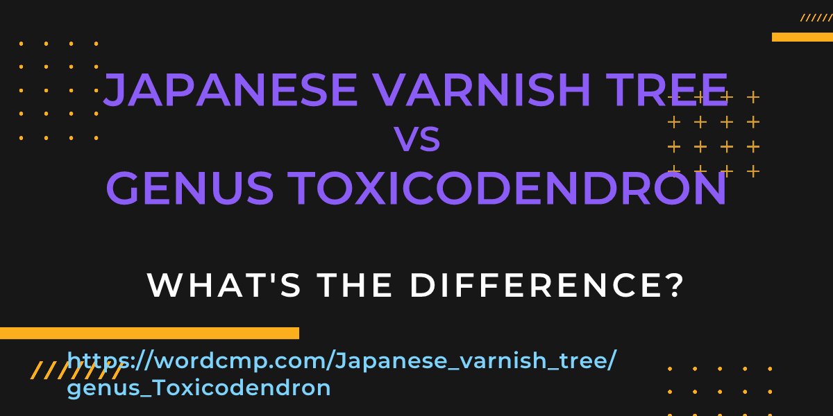 Difference between Japanese varnish tree and genus Toxicodendron