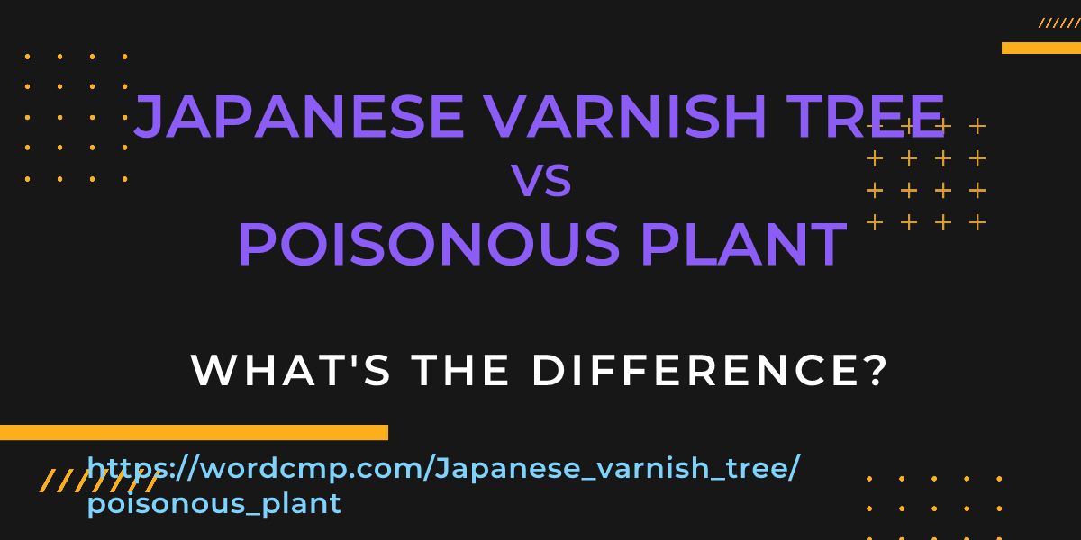 Difference between Japanese varnish tree and poisonous plant