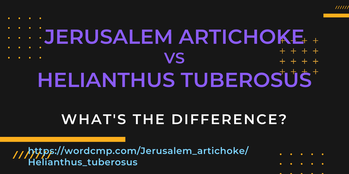 Difference between Jerusalem artichoke and Helianthus tuberosus