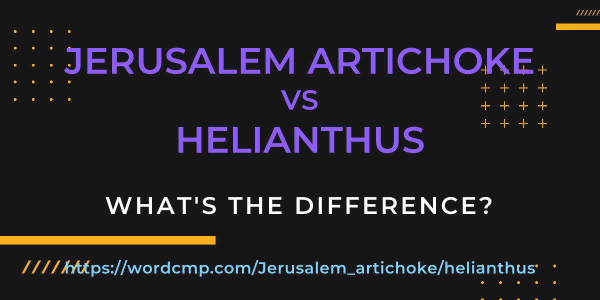 Difference between Jerusalem artichoke and helianthus