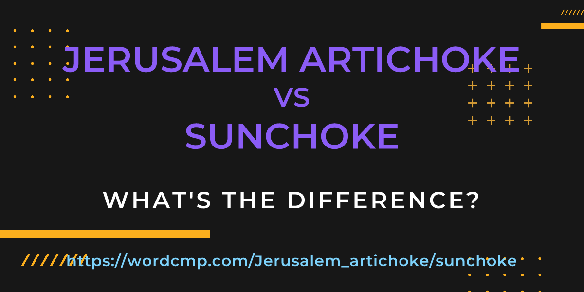 Difference between Jerusalem artichoke and sunchoke