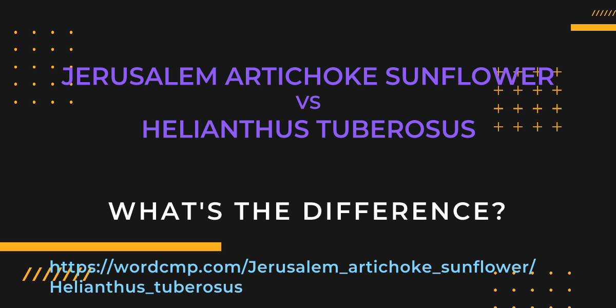 Difference between Jerusalem artichoke sunflower and Helianthus tuberosus