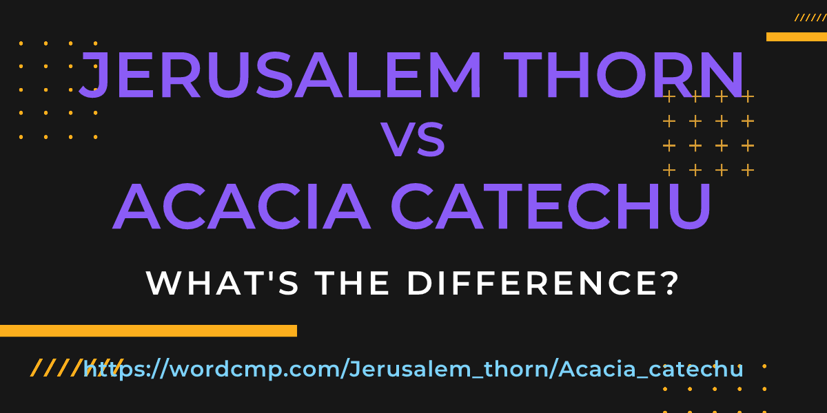 Difference between Jerusalem thorn and Acacia catechu