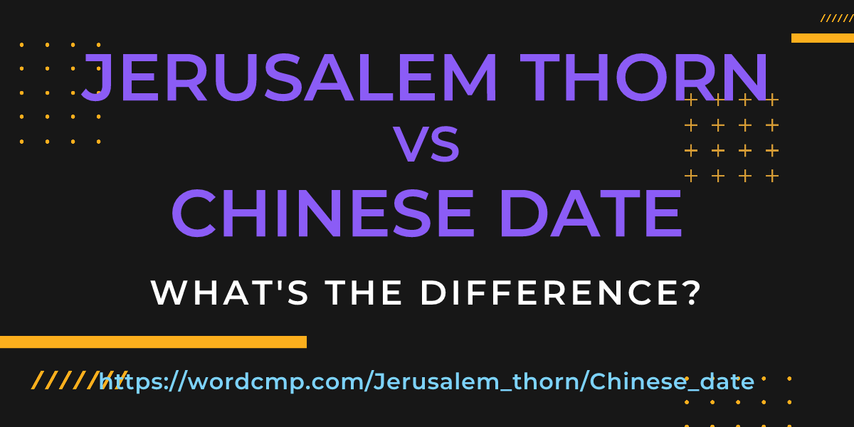 Difference between Jerusalem thorn and Chinese date