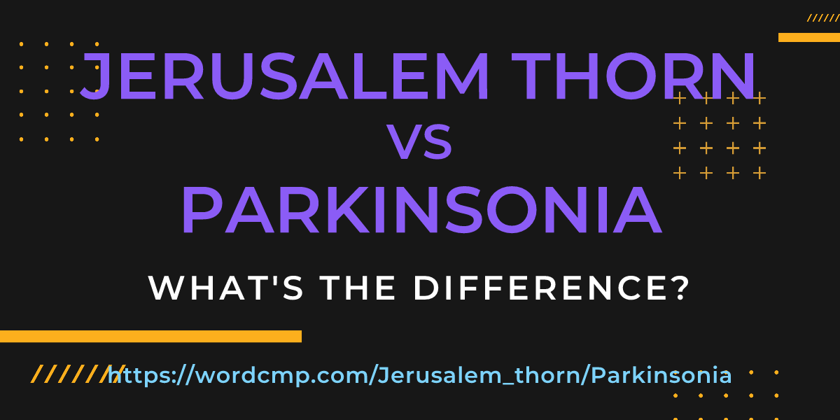 Difference between Jerusalem thorn and Parkinsonia