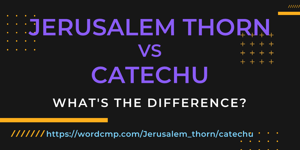 Difference between Jerusalem thorn and catechu