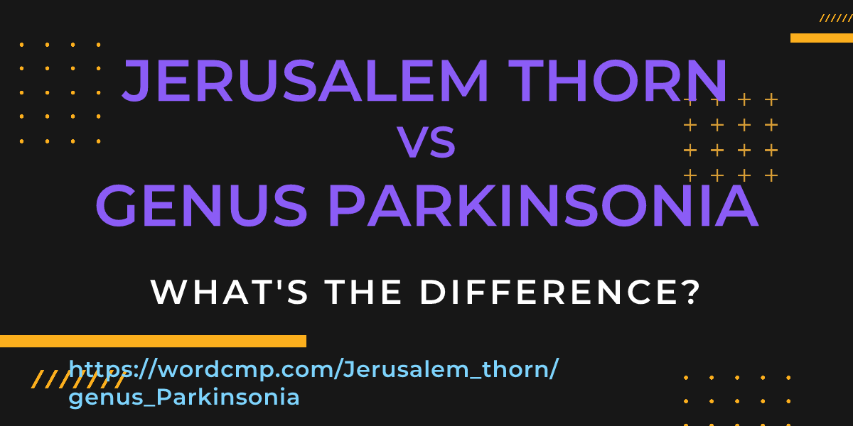 Difference between Jerusalem thorn and genus Parkinsonia