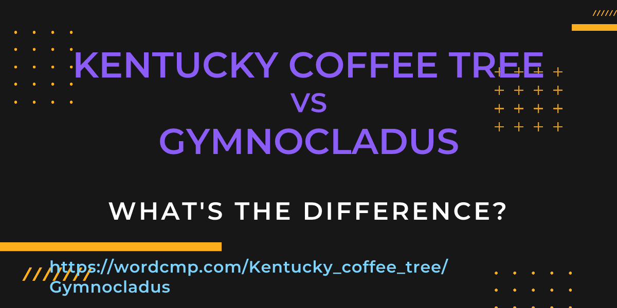 Difference between Kentucky coffee tree and Gymnocladus