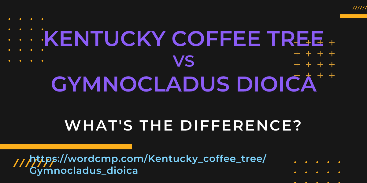 Difference between Kentucky coffee tree and Gymnocladus dioica