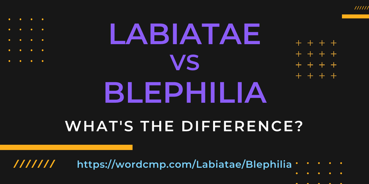Difference between Labiatae and Blephilia