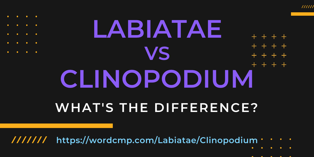 Difference between Labiatae and Clinopodium