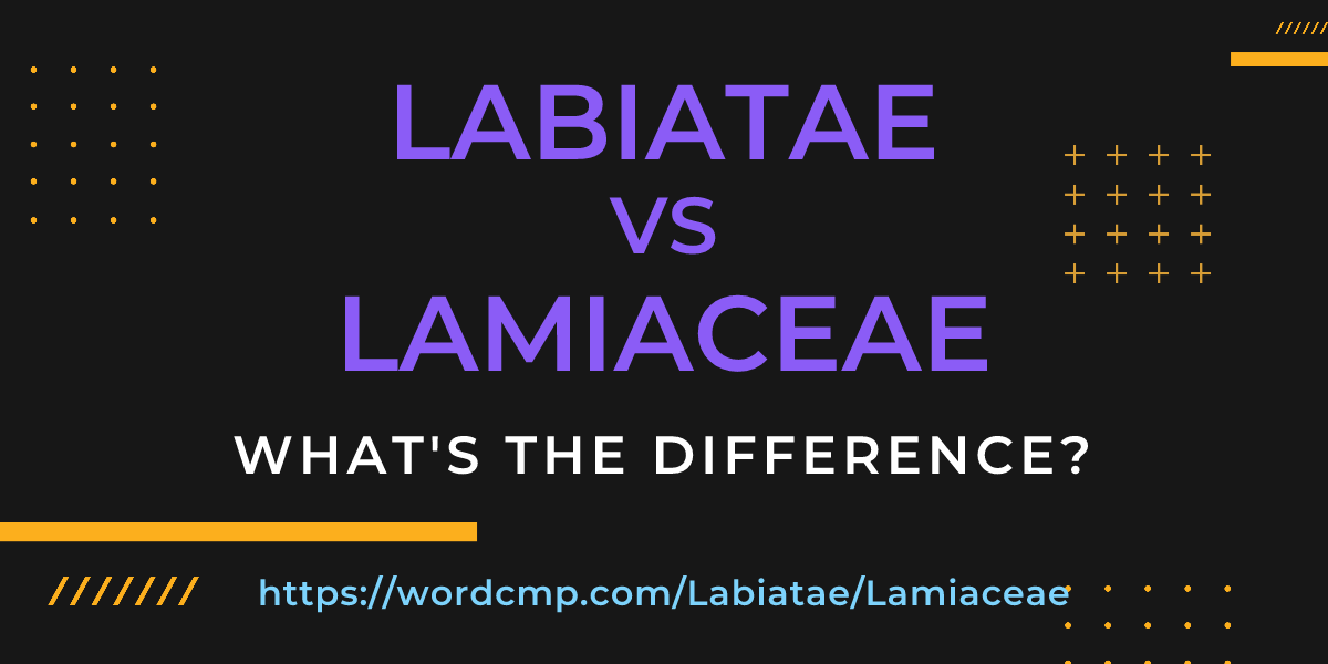 Difference between Labiatae and Lamiaceae