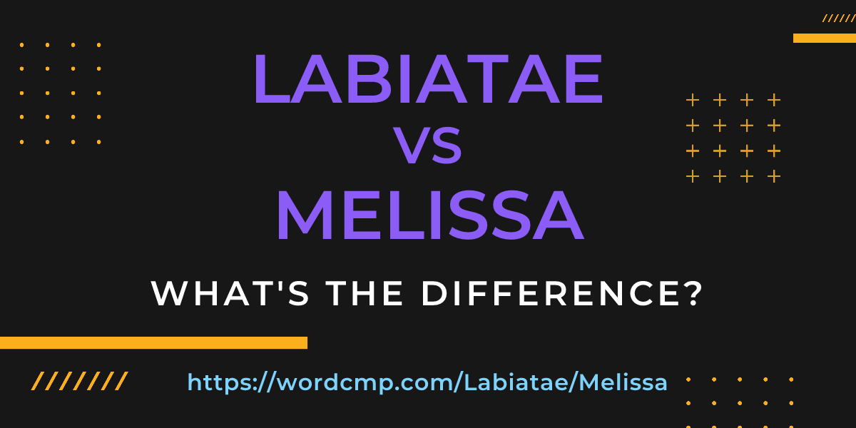 Difference between Labiatae and Melissa