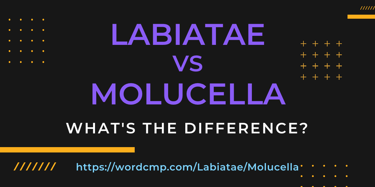 Difference between Labiatae and Molucella