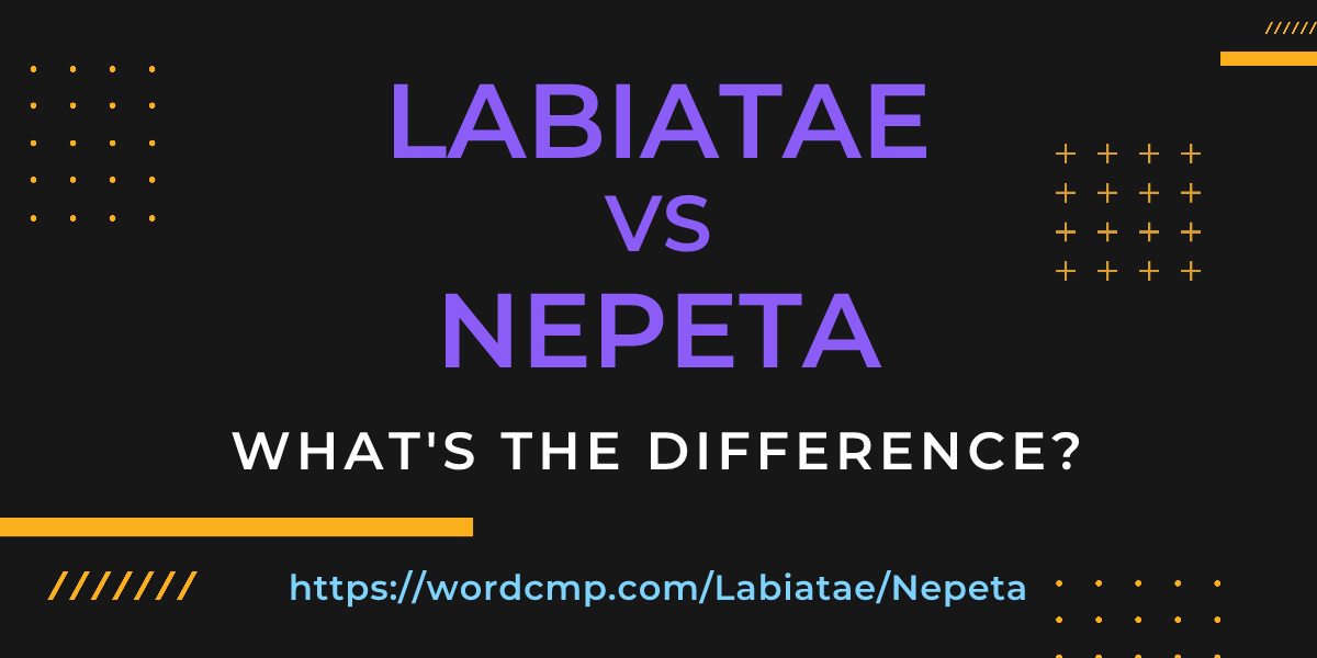 Difference between Labiatae and Nepeta