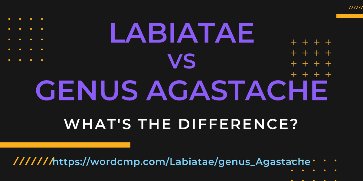 Difference between Labiatae and genus Agastache