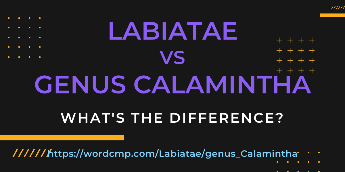 Difference between Labiatae and genus Calamintha