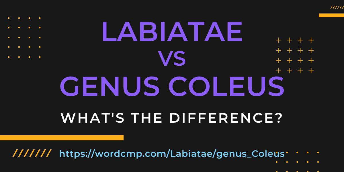 Difference between Labiatae and genus Coleus