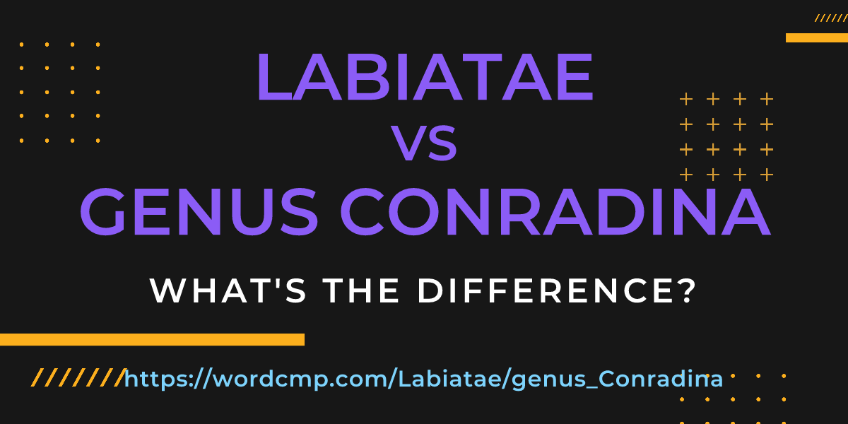 Difference between Labiatae and genus Conradina