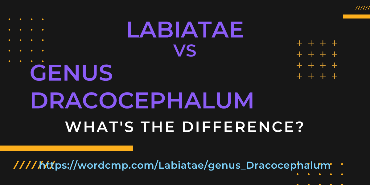Difference between Labiatae and genus Dracocephalum