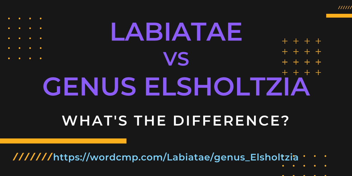 Difference between Labiatae and genus Elsholtzia