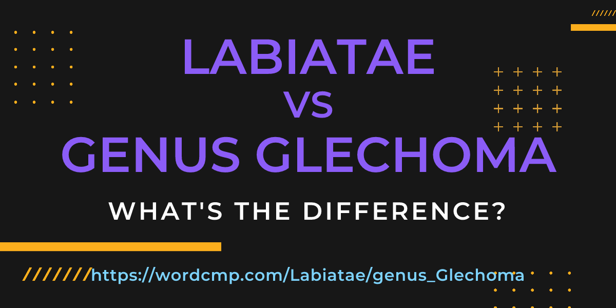 Difference between Labiatae and genus Glechoma
