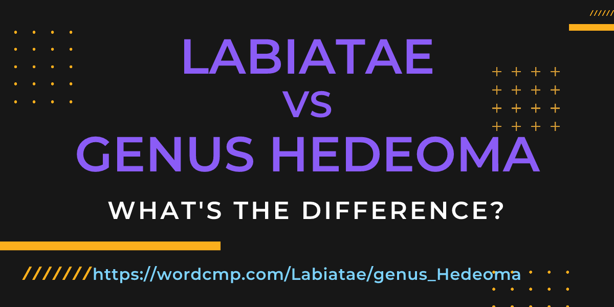 Difference between Labiatae and genus Hedeoma