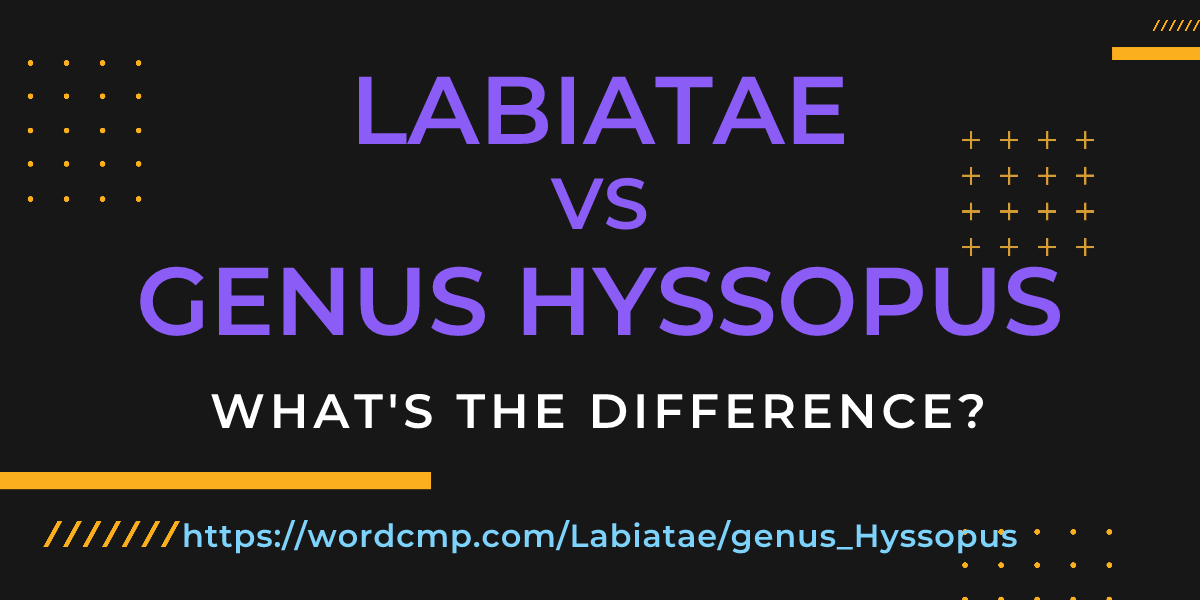 Difference between Labiatae and genus Hyssopus